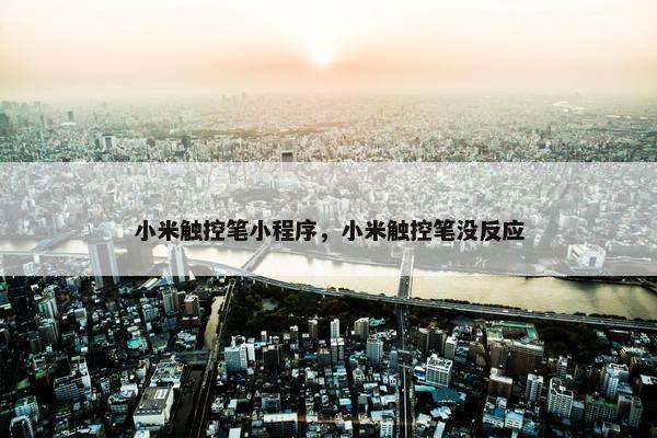 小米触控笔小程序，小米触控笔没反应