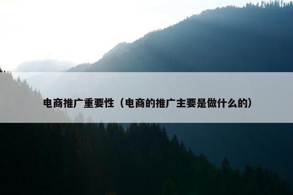 电商推广重要性（电商的推广主要是做什么的）