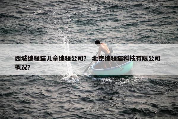 西城编程猫儿童编程公司？ 北京编程猫科技有限公司 概况？