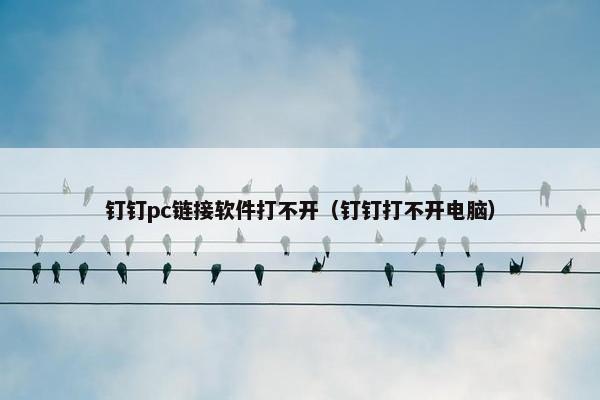 钉钉pc链接软件打不开（钉钉打不开电脑）