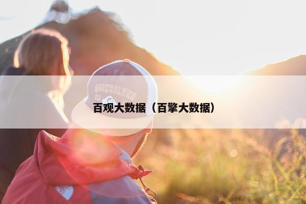 百观大数据（百擎大数据）