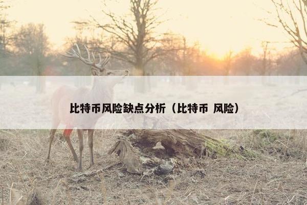比特币风险缺点分析（比特币 风险）