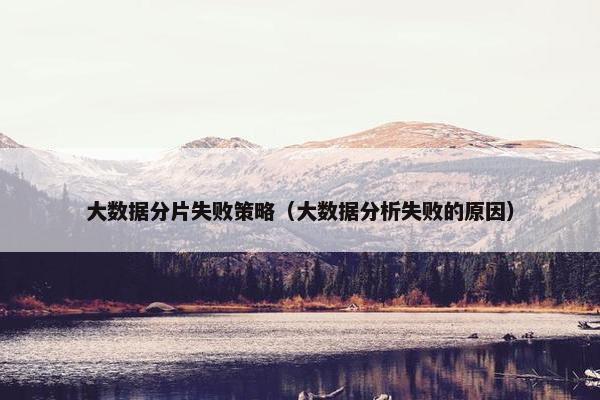 大数据分片失败策略（大数据分析失败的原因）