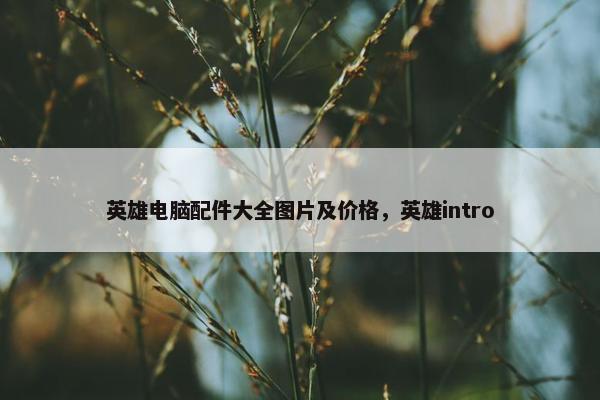 英雄电脑配件大全图片及价格，英雄intro
