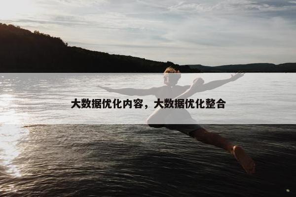 大数据优化内容，大数据优化整合
