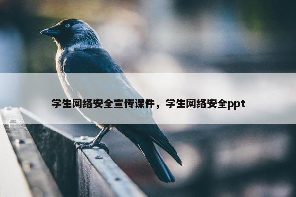 学生网络安全宣传课件，学生网络安全ppt