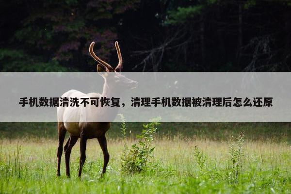 手机数据清洗不可恢复，清理手机数据被清理后怎么还原