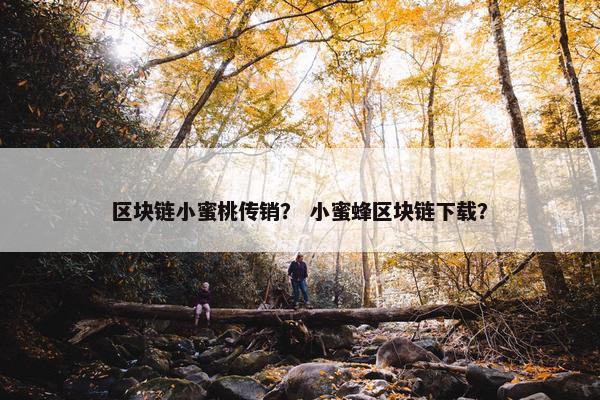 区块链小蜜桃传销？ 小蜜蜂区块链下载？