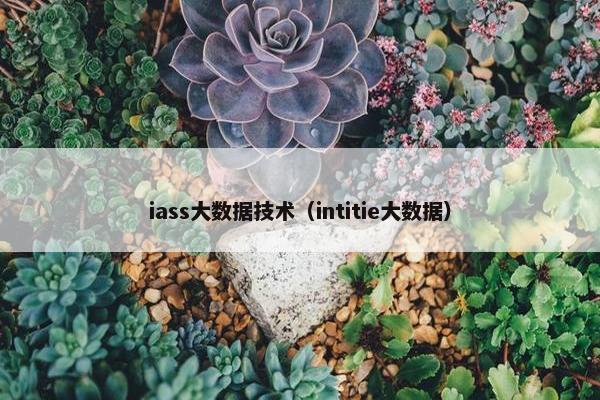 iass大数据技术（intitie大数据）