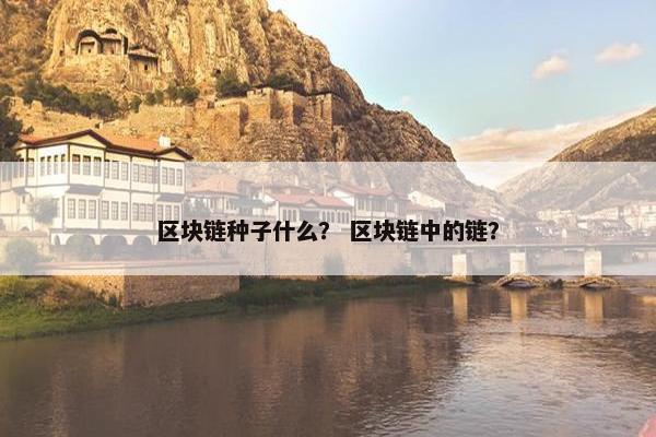 区块链种子什么？ 区块链中的链？