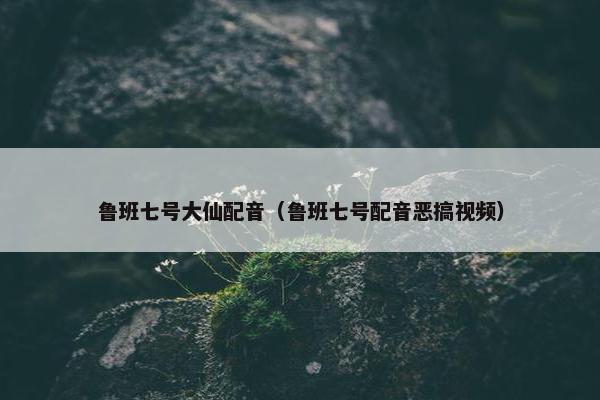 鲁班七号大仙配音（鲁班七号配音恶搞视频）