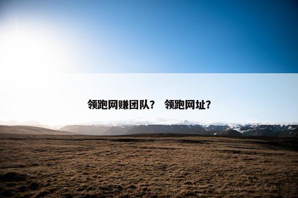 领跑网赚团队？ 领跑网址？