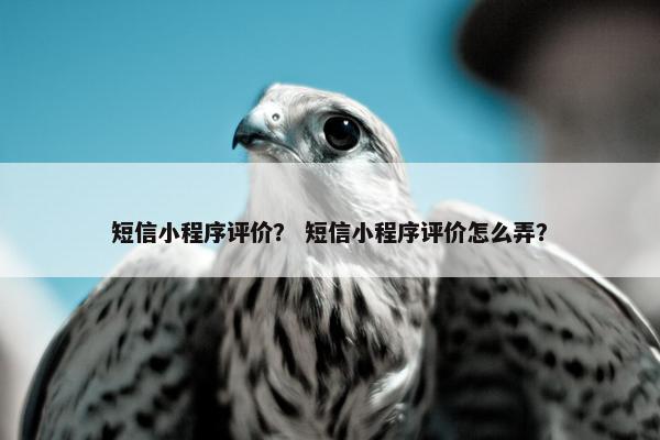 短信小程序评价？ 短信小程序评价怎么弄？