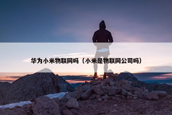华为小米物联网吗（小米是物联网公司吗）