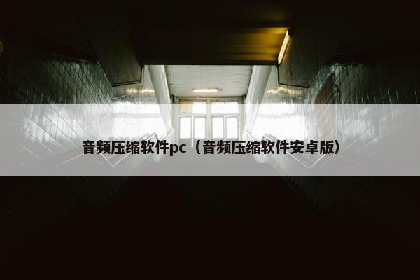 音频压缩软件pc（音频压缩软件安卓版）