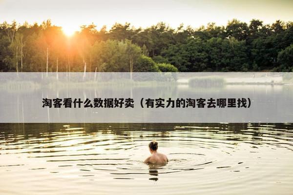 淘客看什么数据好卖（有实力的淘客去哪里找）