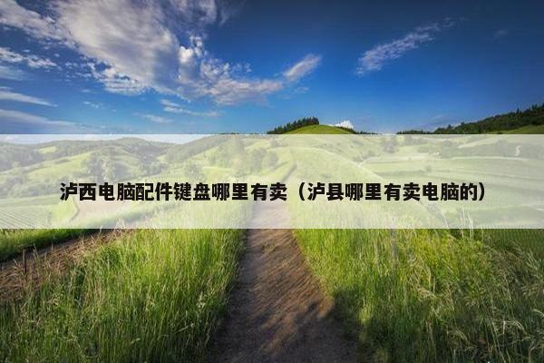 泸西电脑配件键盘哪里有卖（泸县哪里有卖电脑的）