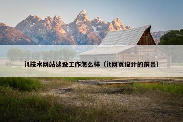 it技术网站建设工作怎么样（it网页设计的前景）
