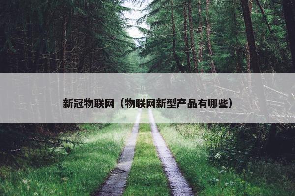 新冠物联网（物联网新型产品有哪些）