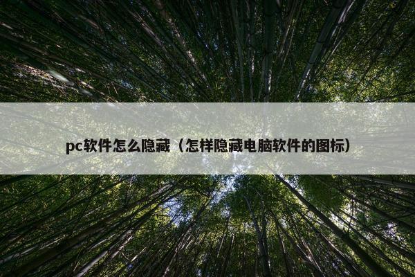 pc软件怎么隐藏（怎样隐藏电脑软件的图标）