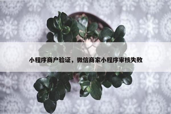 小程序商户验证，微信商家小程序审核失败