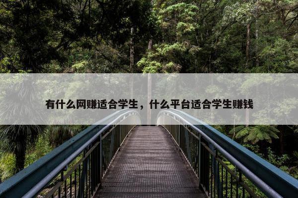 有什么网赚适合学生，什么平台适合学生赚钱