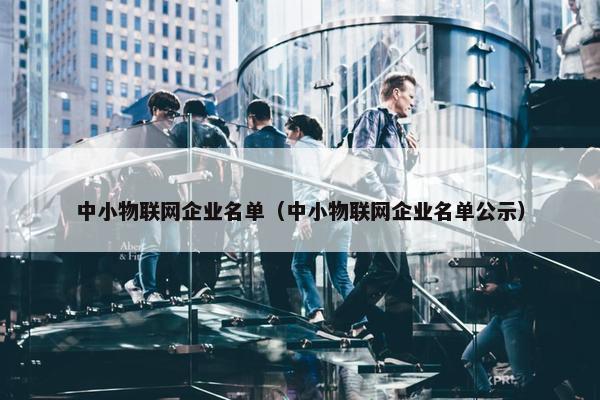 中小物联网企业名单（中小物联网企业名单公示）