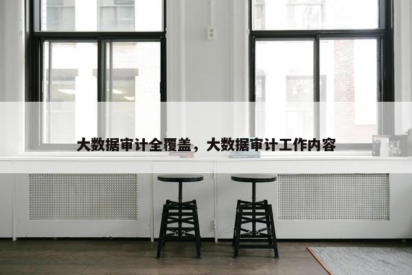 大数据审计全覆盖，大数据审计工作内容