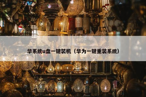 华系统u盘一键装机（华为一键重装系统）