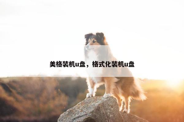 美格装机u盘，格式化装机u盘