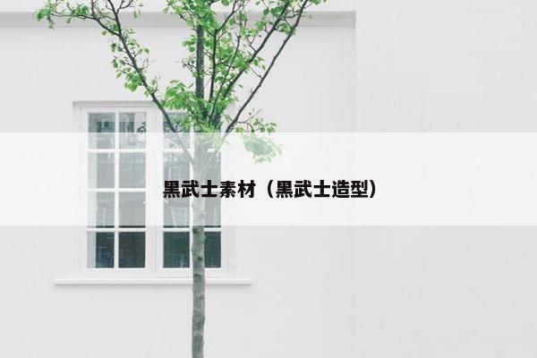 黑武士素材（黑武士造型）