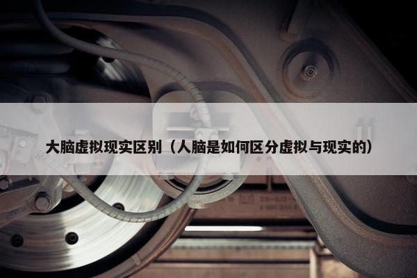 大脑虚拟现实区别（人脑是如何区分虚拟与现实的）