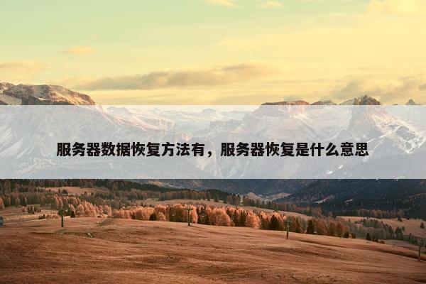 服务器数据恢复方法有，服务器恢复是什么意思