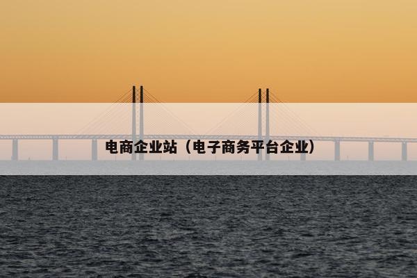 电商企业站（电子商务平台企业）