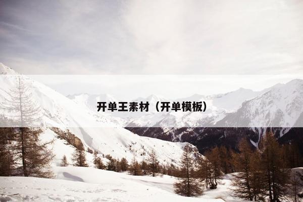 开单王素材（开单模板）