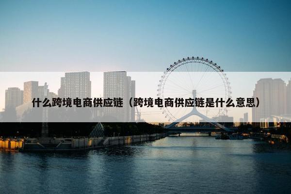 什么跨境电商供应链（跨境电商供应链是什么意思）