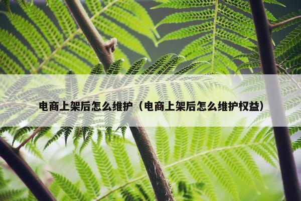 电商上架后怎么维护（电商上架后怎么维护权益）