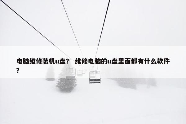 电脑维修装机u盘？ 维修电脑的u盘里面都有什么软件？