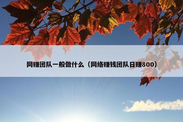 网赚团队一般做什么（网络赚钱团队日赚800）