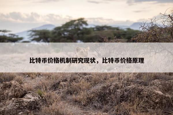 比特币价格机制研究现状，比特币价格原理