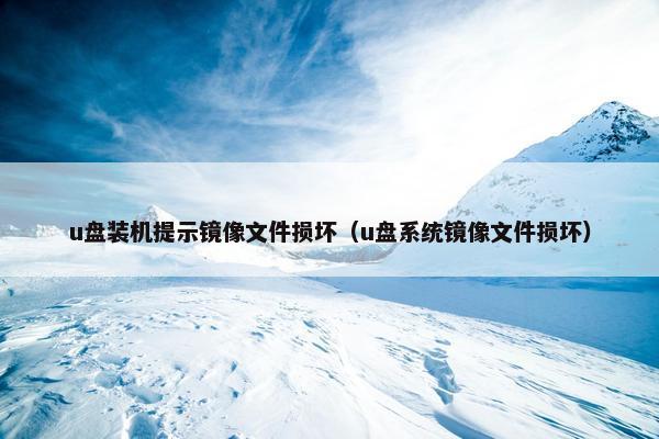 u盘装机提示镜像文件损坏（u盘系统镜像文件损坏）
