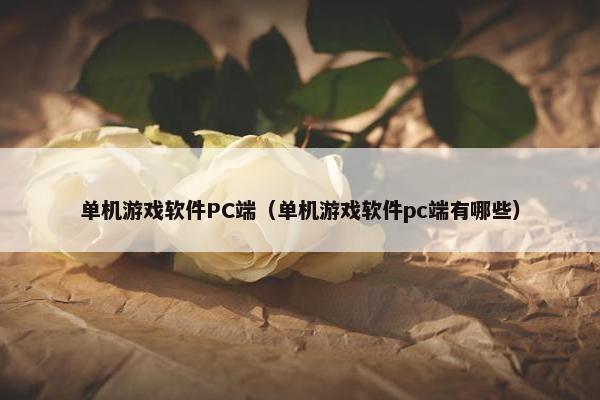 单机游戏软件PC端（单机游戏软件pc端有哪些）