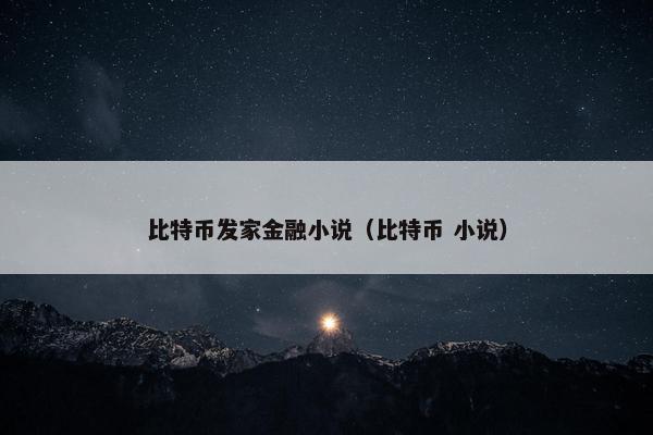 比特币发家金融小说（比特币 小说）