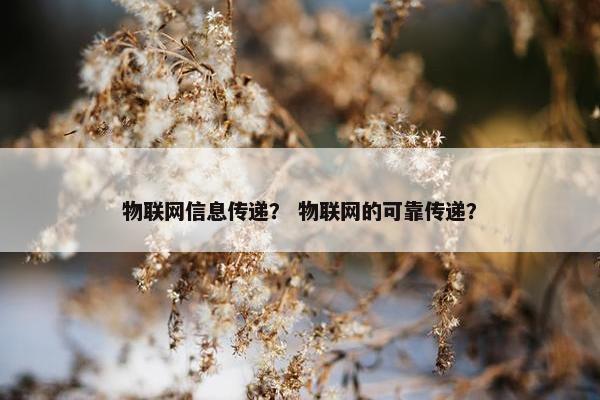 物联网信息传递？ 物联网的可靠传递？