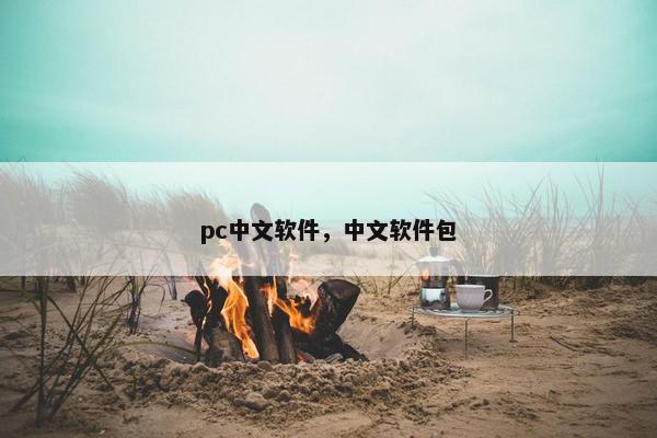 pc中文软件，中文软件包