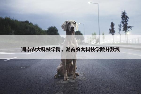 湖南农大科技学院，湖南农大科技学院分数线